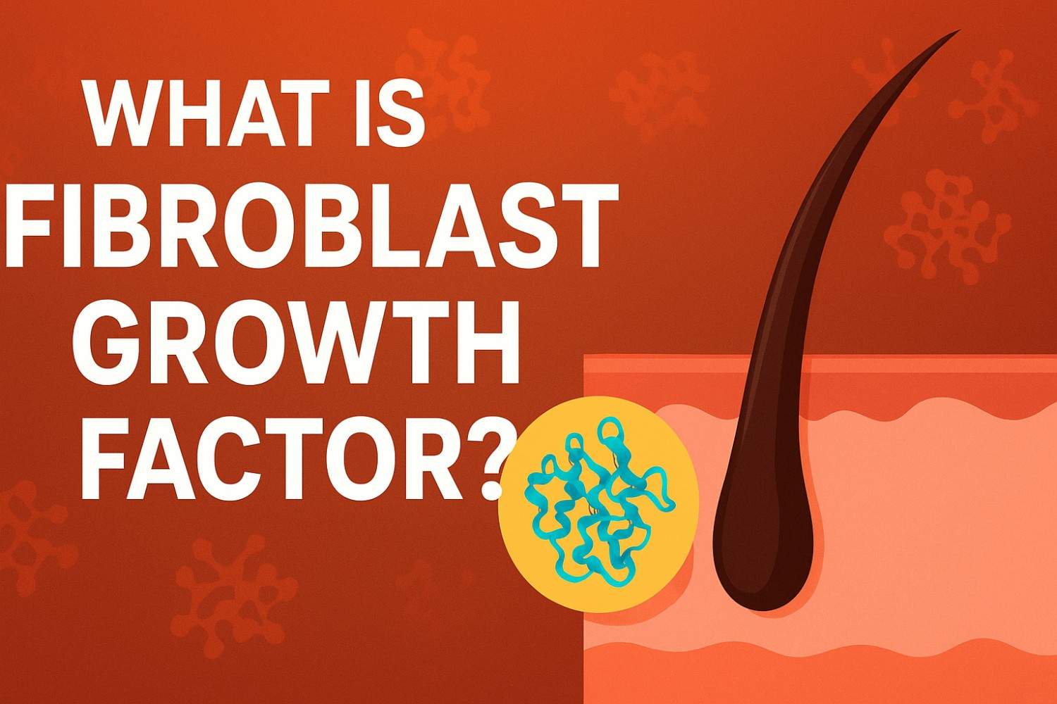 Fibroblast Growth Factor